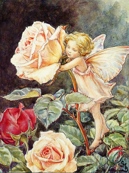 The-Rose-Child_C.M.Barker